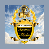 Arabesk Vadisi
 radio